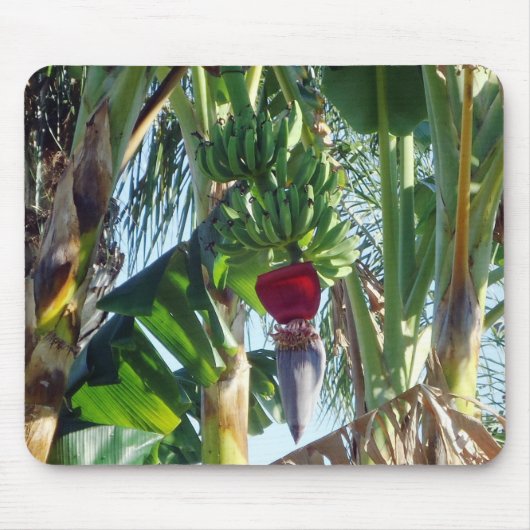 Junge Bananen Mousepad (Vorne)