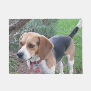 Junge Beagle-Jagdhund-Tür-Matte Fußmatte