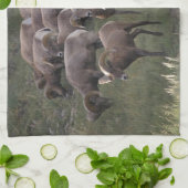 Junge Bighorn-Schafe Küchentuch (Gefaltet)