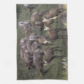 Junge Bighorn-Schafe Küchentuch (Vertikal)