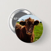 Junge braune Kuh auf Weidenfeldern Button (Vorne & Hinten)