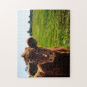 Junge braune Kuh auf Weidenfeldern Puzzle (Vertikal)