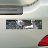 Junge braune Pelikane Autoaufkleber (Auf Auto)
