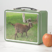 Junge braune Ziege im Gras Metall Brotdose (Beispiel)