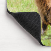 Junge Brown Antilope Waterbuck Getty Bild-| Mousepad (Ecke)