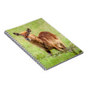 Junge Brown Antilope Waterbuck Getty Bild-| Notizblock (Rechte Seite)