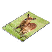 Junge Brown Antilope Waterbuck Getty Bild-| Notizblock (Linke Seite)