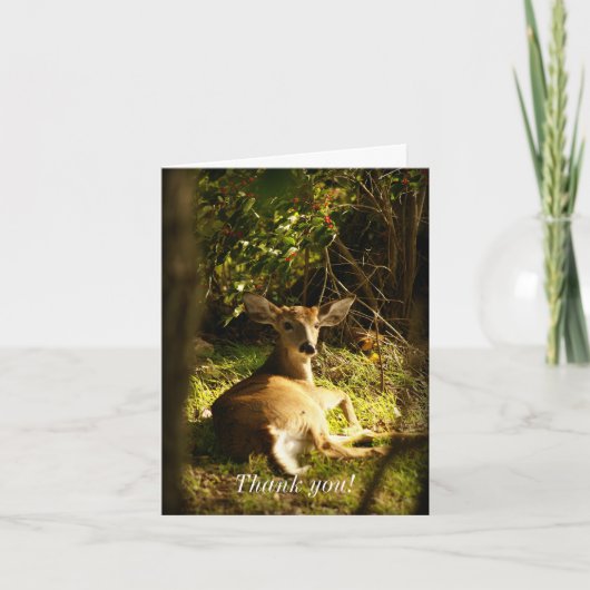 Junge Bucke auf der Wiese Dankeskarte (Vorderseite)