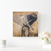 Junge Bush-Elefant Quadratische Wanduhr (Zuhause)