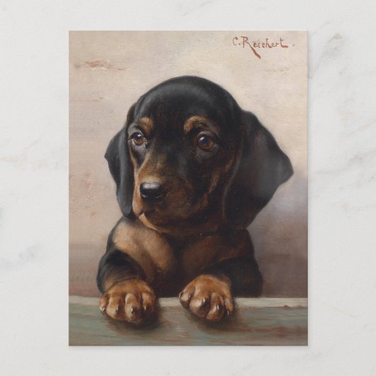 Junge Dackel | Carl Reichert Postkarte (Vorderseite)