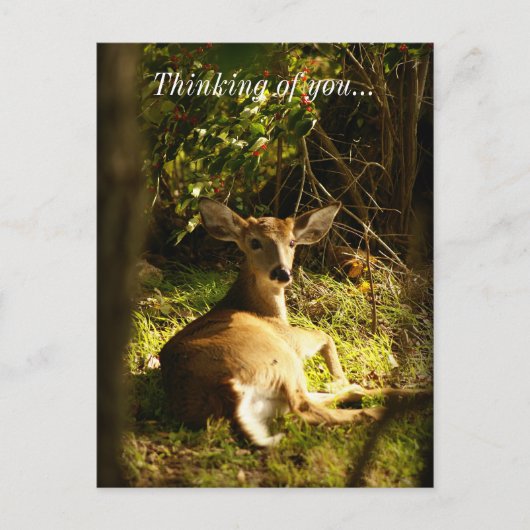 Junge denken auf der Wiese an dich Postkarte (Vorderseite)