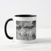 Junge, der Antilope füttert Tasse (Links)