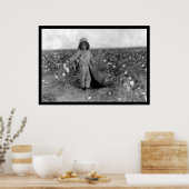 Junge, der Baumwolle in Comanche pickte, OK 1916 Poster (Küche)