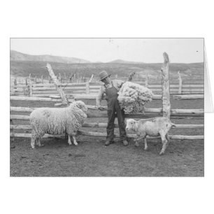 Junge, der ein Bündel Wollen hält