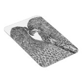 JUNGE EGLÄNDISCHE SIBLINGE E15 UND E16 ZWEITE NATU MAGNET (Rechte Seite)