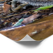 Junge Eichhörnchen mit Frühstückspenster Poster (Ecke)