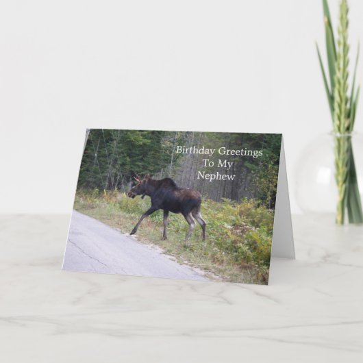 Junge Elche auf Road-Nephews Geburtstag Karte (Vorderseite)