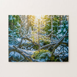 Junge Fichte wächst auf alten Wurzeln Puzzle