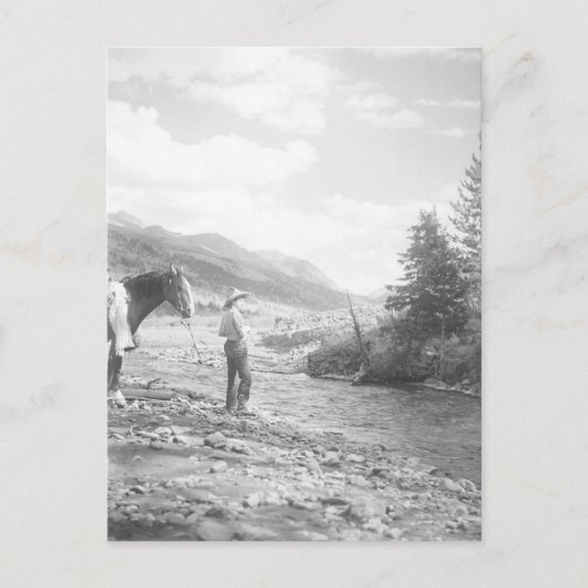 Junge fliegen angeln. postkarte (Vorderseite)