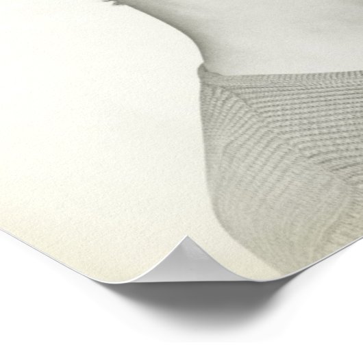 Junge Frau 2 Poster (Ecke)