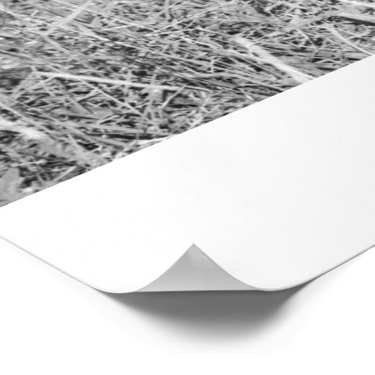 Junge fütternd Antilope Poster (Ecke)