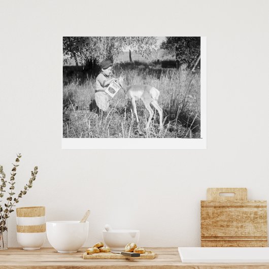 Junge fütternd Antilope Poster (Küche)