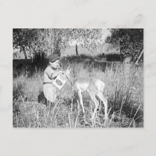 Junge füttert Antilope Postkarte (Vorderseite)