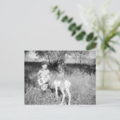 Junge füttert Antilope von Hand Postkarte (Stehend Vorderseite)