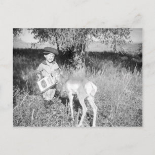 Junge füttert Antilope von Hand Postkarte