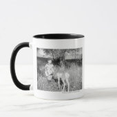 Junge füttert Antilope von Hand Tasse (Links)