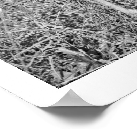 Junge füttre Antilope von Hand Poster (Ecke)