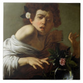 Junge gebissen durch eine Eidechse, c.1595-1600 Fliese (Vorderseite)