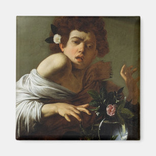 Junge gebissen durch eine Eidechse, c.1595-1600 Magnet