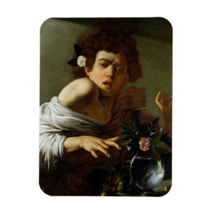 Junge gebissen durch eine Eidechse, c.1595-1600 Magnet