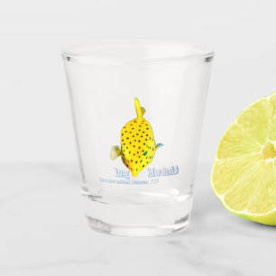 Junge Gelbe Boxfisch Schnapsglas