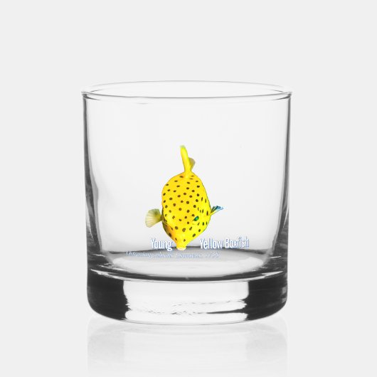 Junge Gelbe Boxfisch Whiskyglas (Vorderseite)