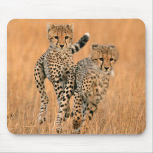 Junge Geparden (Acinonyx Jubatus) laufen Mousepad