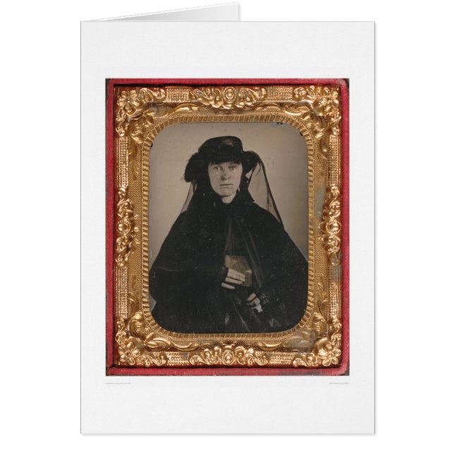 Junge Goldrauschwitwe (399889) (Vorne)