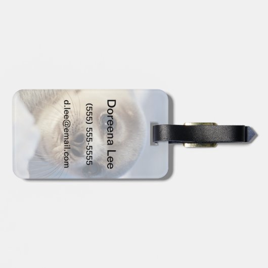 Junge Harfe Siegel Gepäckanhänger (Rückseite horizontal)