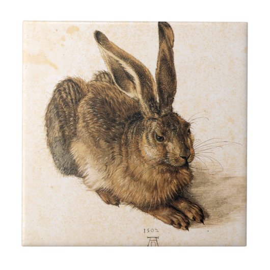 Junge Hase-Fliese Albrecht Durer Fliese (Vorderseite)
