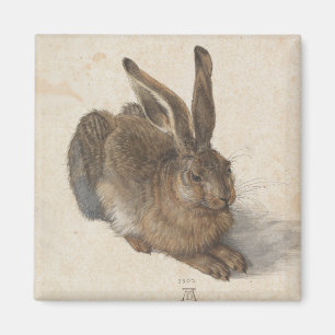 Junge Hasen durch Albrecht Durer Magnet