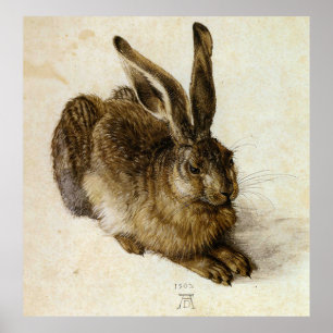` Junge Hasen' durch Albrecht Dürer Poster