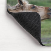 Junge Henson-Pferde begegnen sich Mousepad (Ecke)