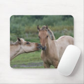 Junge Henson-Pferde begegnen sich Mousepad (Mit Mouse)