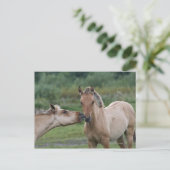 Junge Henson-Pferde begegnen sich Postkarte (Stehend Vorderseite)
