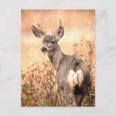 Junge Hirsche in Wildblumen mit grungy Texture Art Postkarte (Vorderseite)