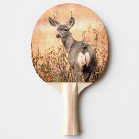 Junge Hirsche in Wildblumen mit grungy Texture Art Tischtennis Schläger (Vorderseite)