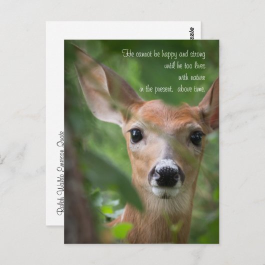 Junge Hirsche mit Emerson Zitat Postkarte (Vorne/Hinten)