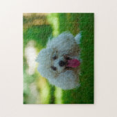 Junge Hunde. Puzzle (Vertikal)
