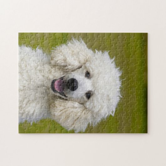 Junge Hunde. Puzzle (Horizontal)
